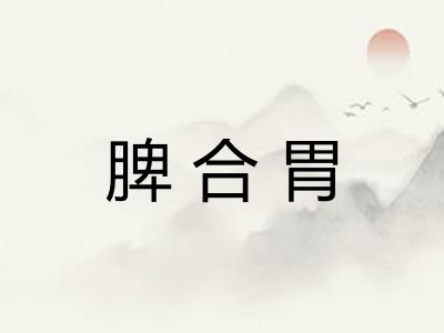 脾合胃