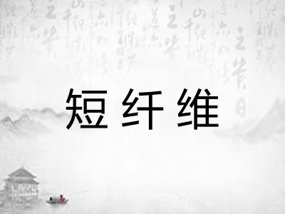 短纤维 短纤维