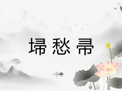 埽愁帚