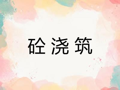 砼浇筑 砼浇筑