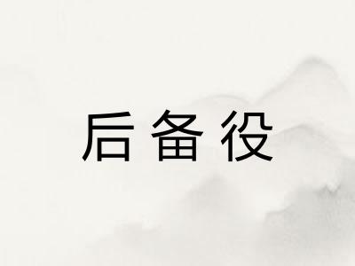 后备役 后备役