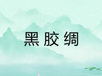 黑胶绸 黑胶绸