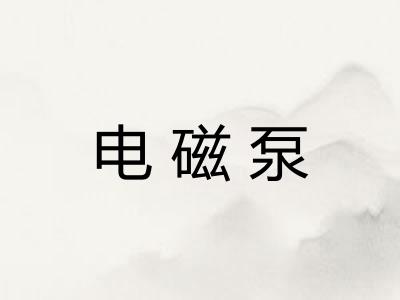 电磁泵 电磁泵