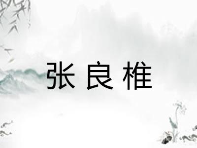 张良椎 张良椎