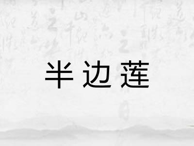 半边莲