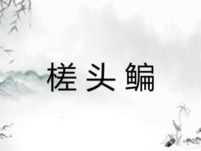 槎头鳊