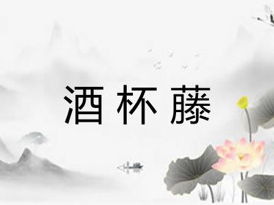 酒杯藤