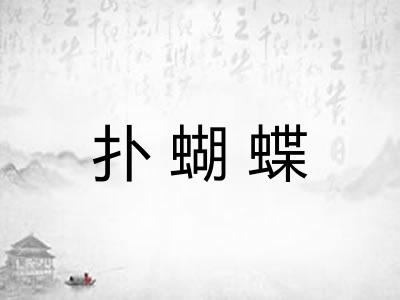 扑蝴蝶