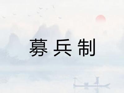募兵制 募兵制