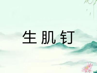 生肌钉 生肌钉