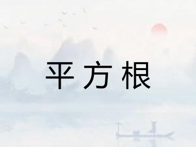 平方根 平方根