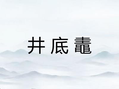 井底鼃 井底鼃