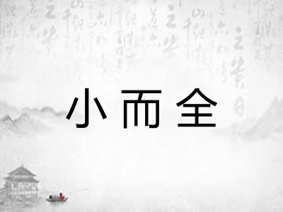 小而全 小而全