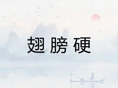 翅膀硬