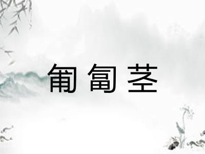 匍匐茎 匍匐茎