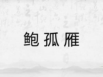 鲍孤雁