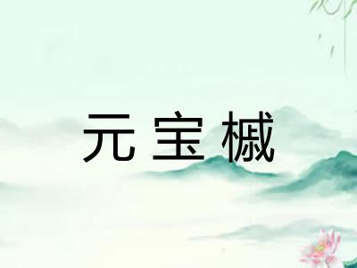 元宝槭