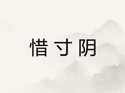 惜寸阴 惜寸阴