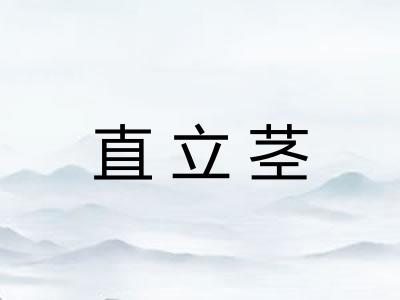 直立茎 直立茎