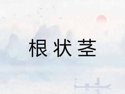 根状茎 根状茎