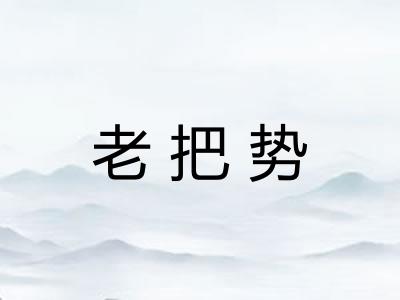 老把势
