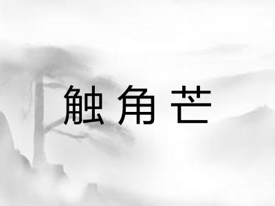 触角芒