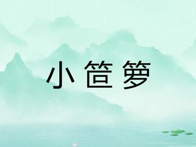 小笸箩