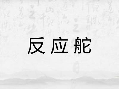 反应舵 反应舵
