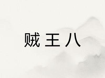 贼王八