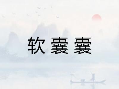 软囊囊 软囊囊
