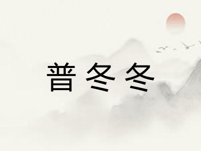 普冬冬