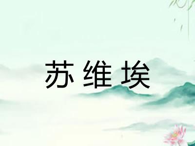 苏维埃 苏维埃
