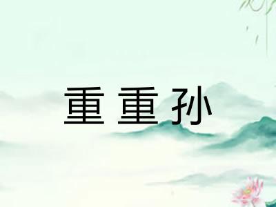 重重孙 重重孙