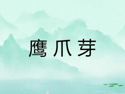 鹰爪芽 鹰爪芽
