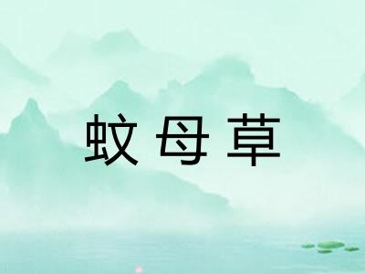蚊母草 蚊母草
