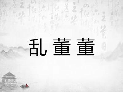 乱董董