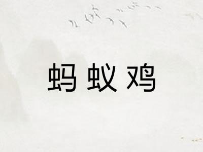 蚂蚁鸡 蚂蚁鸡