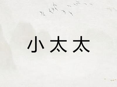 小太太 小太太