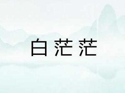 白茫茫 白茫茫