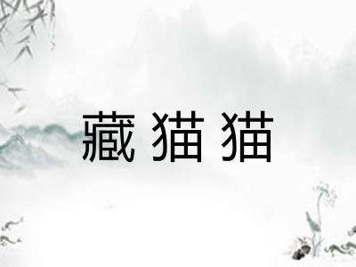 藏猫猫