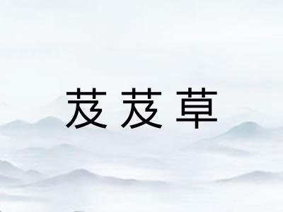 芨芨草