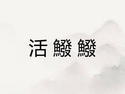 活鱍鱍 活鱍鱍