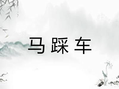 马踩车