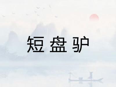 短盘驴 短盘驴