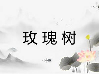 玫瑰树 玫瑰树