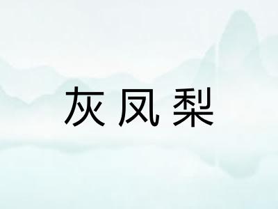灰凤梨