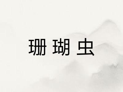 珊瑚虫