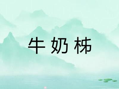 牛奶柹