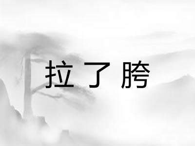 拉了胯 拉了胯