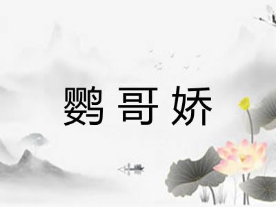 鹦哥娇